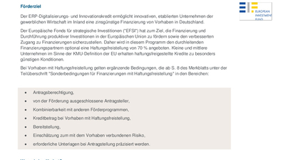 ERP-Digitalisierungs- und Innovationskredit - Programm