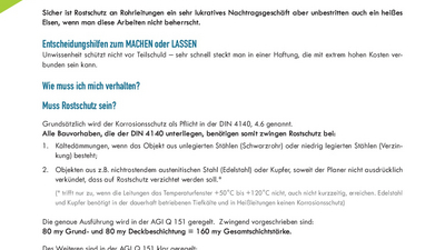 ZDB-Fachinformation: Rostschutz